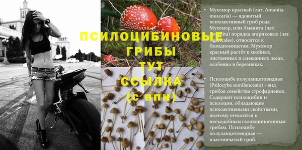 не бодяженный Кулебаки