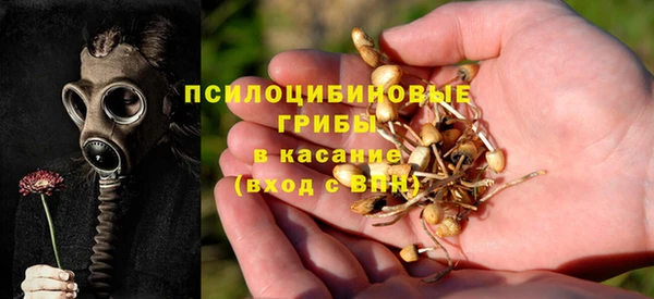 jwh Кирсанов