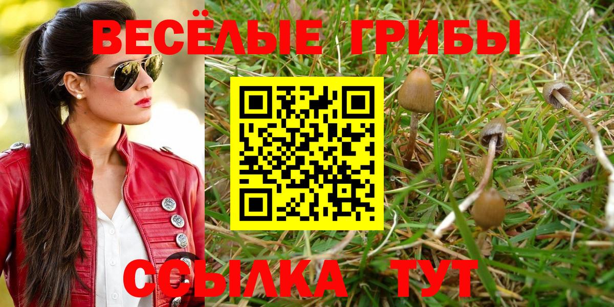 Псилоцибиновые грибы мухоморы Малгобек