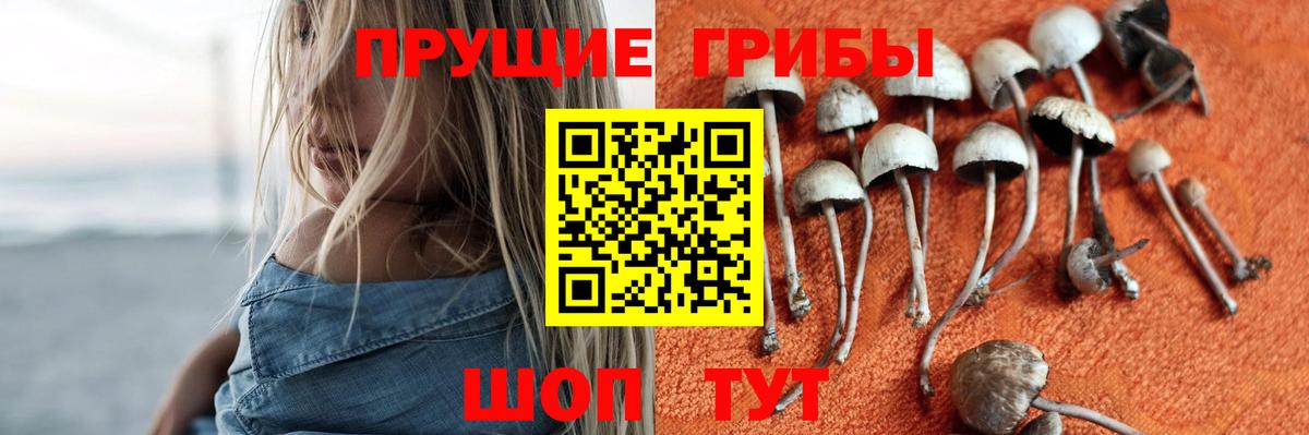 Галлюциногенные грибы MAGIC MUSHROOMS  Галлюциногенные грибы Magic Shrooms  Вход с VPN  Малгобек 